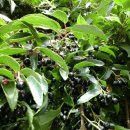 남산농장 이미지