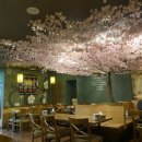 비비큐참숯바베큐 이미지