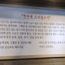 천연애 이미지