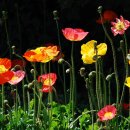 초읍초등학교 이미지