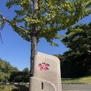 뉴그린 | 이천 회원제 골프장 뉴스프링빌cc 후기 및 그린스피드