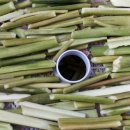 뜨락농장 이미지