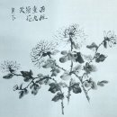 국화천 이미지