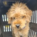 대율보건진료소 이미지