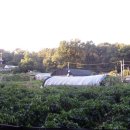 꽃마을 약수터 이미지