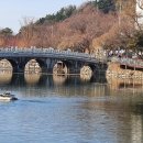 나무테크.나무야 이미지