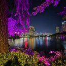 마이서울바이츠(My Seoul Bites) 이미지