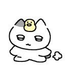 르카페 이미지