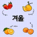 과일의모든것