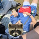 세븐일레븐(거창드림점) | 2026 대만 메가포트 후기 1