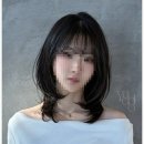 6044 | 드디어 찾았다 청주 봉명동 야도헤어에서 받은 완벽한 헤어케어 후기