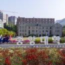 중앙대학교 정보대학원 이미지