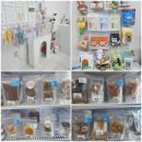 멍냥플레이트 | 포항 멍냥플레이트 자격증반 수업 1일차(수제간식)