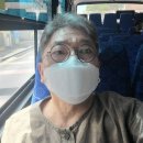 도련지석묘 1호 이미지