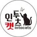 인투캣츠 이미지