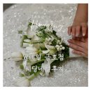 더블유금호