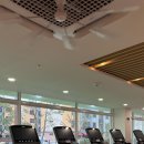 오라스테이 이미지