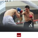 도봉복싱클럽 이미지