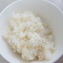 대보정미소 | 토종쌀 먹기 시작