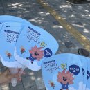 양지유치원 이미지