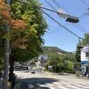 (주)반센 | 부암동 “레이지클럽버거”,유니클로 “세실리에반센” 행복 나들이🌿