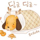 레인보우펜션레드 이미지