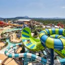 신화오토 이미지