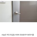 장수유리 이미지
