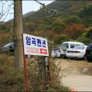 손곡목장 Daum카페