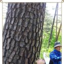 삼근초등학교 이미지