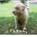 달성공원관리사무소 이미지