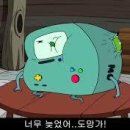 비모 이미지