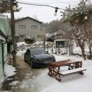 양평애견택시 이미지