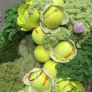 가미무역 | 윌슨 파인드엘리스, 테니스와 주얼리의 만남! 윌슨 플리에 컬렉션부터 주얼리까지 착용 후기