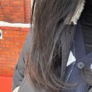 다다네 묭실 | 삼성동 바버샵ㅣ[디 아뜰리에] 대만족 후기, 정착하고 싶은 미용실 💇‍♀️