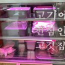 육심가 이미지