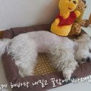 허그멍 이미지