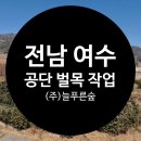 주식회사숲나무 이미지