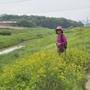 경기둘레길 안성43코스 이미지