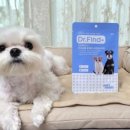 파인드 헬스케어 이미지