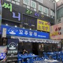 [맛집후기] 부천 신중동 맛있는 해산물 포차 꼬주망태 찐추천 후기 메뉴 추천