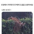 그루밍:담 | 10月 | 당신의 겨울 취미는 무엇인가요..? 🧶