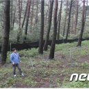 서부지방산림청(정읍국유림관리소) 이미지