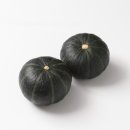 푸름농장 이미지