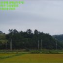 약산면-2 이미지
