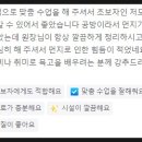 나무를품다
