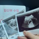 아이앤맘산부인과의원 이미지