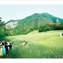 김씨네민박 이미지