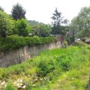 보광농장 이미지