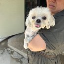 GS25두호타운점 이미지